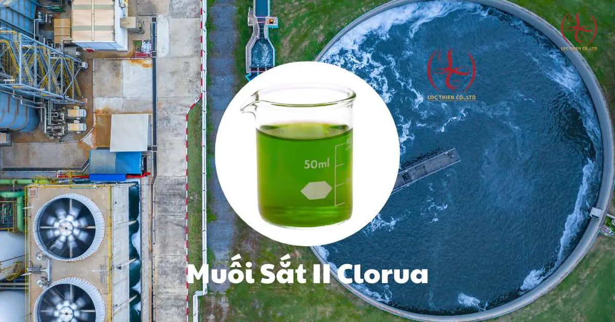 Muối sắt II Clorua (FeCl2) là gì? Màu sắc, ứng dụng và nhà cung cấp uy tín