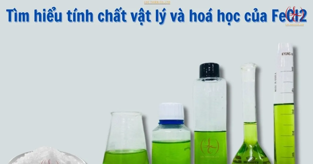 FeCl2 (Sắt II Clorua): Tính Chất, Ứng Dụng Công Nghiệp & Giá Mua 2026