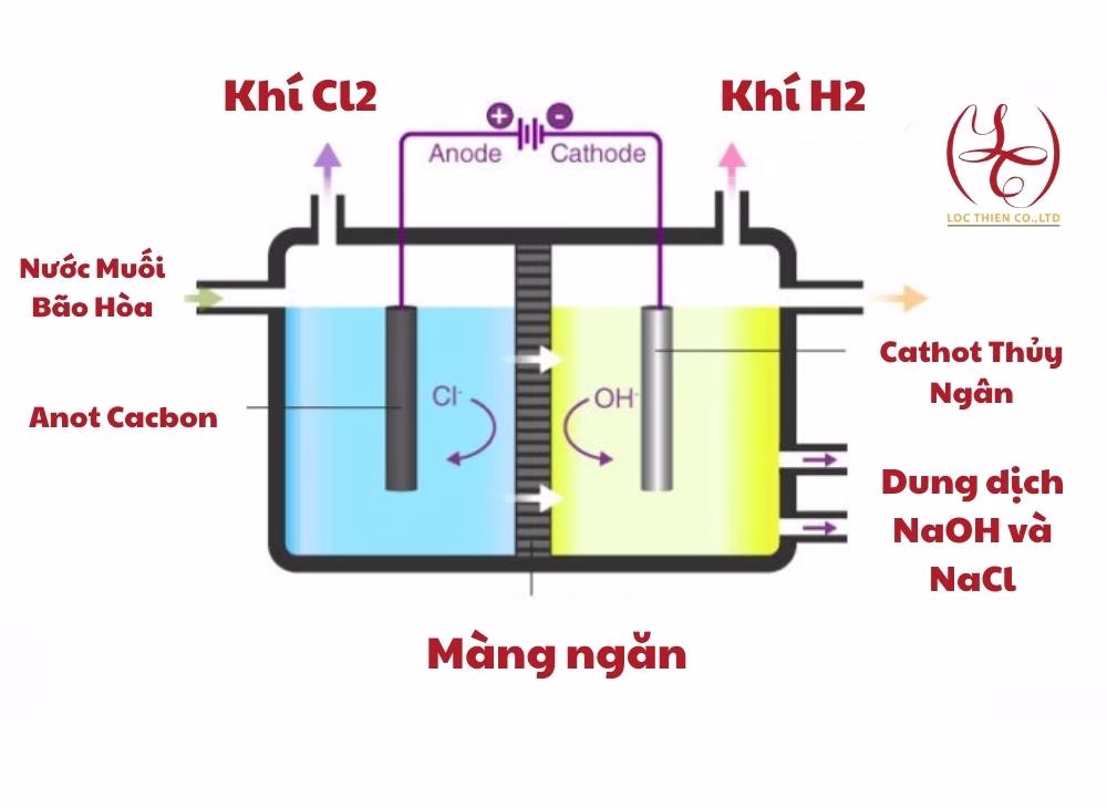 sản xuất nước javen